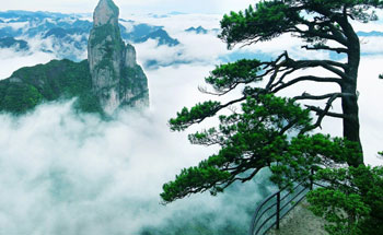 8D6N BEIJING XIANJU WANGXIANGU SHANGHAI